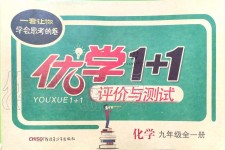 2019年優學1+1評價與測試九年級化學全一冊