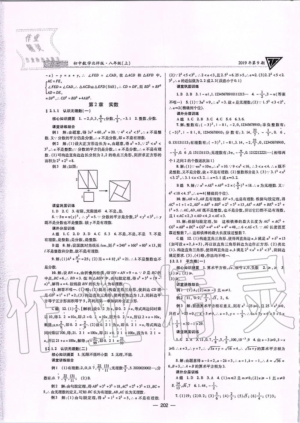 2019年天府数学八年级上册北师大版 第5页