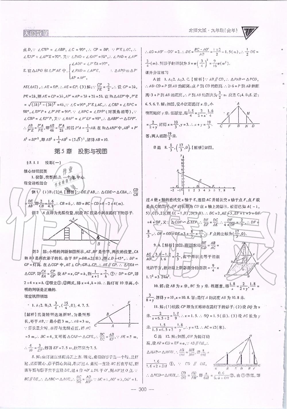 2019年天府数学九年级全一册北师大版 第35页