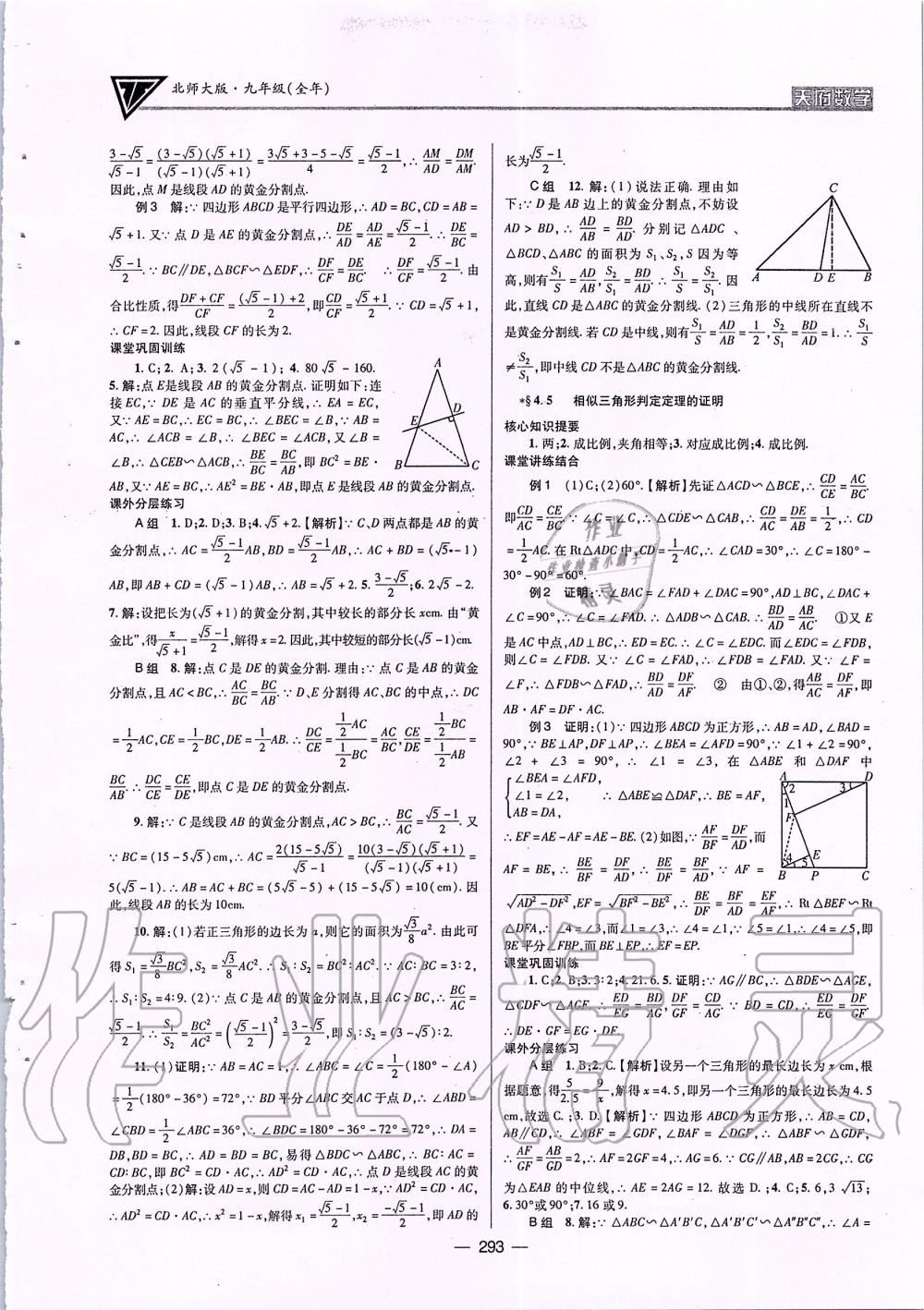 2019年天府数学九年级全一册北师大版 第28页