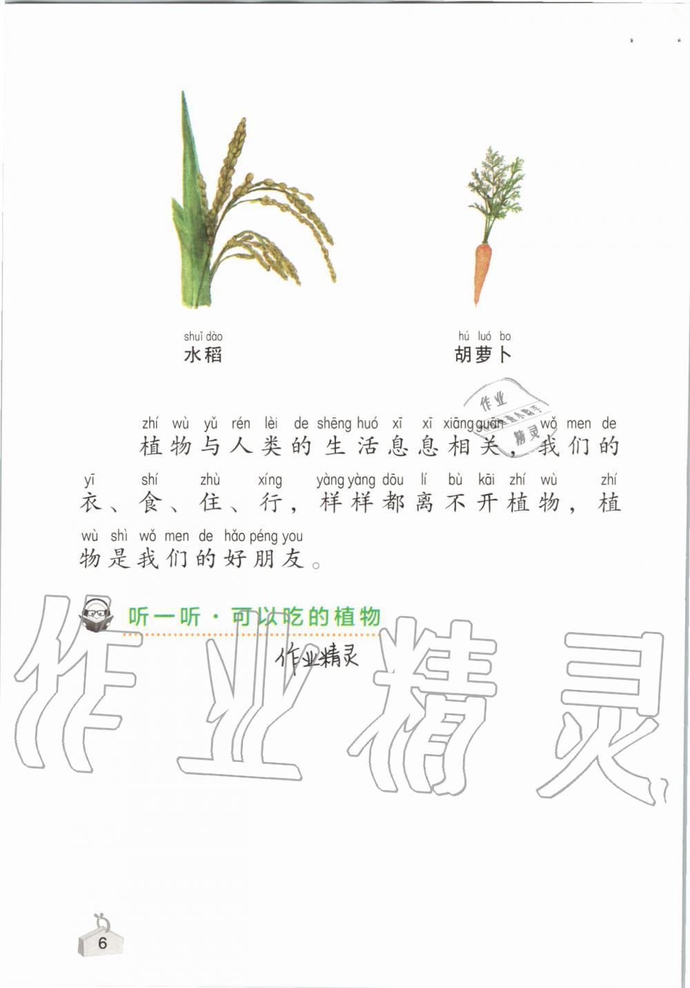 2019年知识与能力训练一年级科学上册教科版 第6页