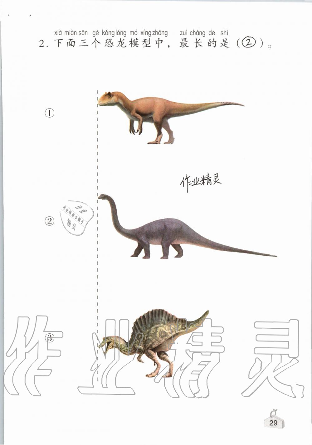 2019年知识与能力训练一年级科学上册教科版 第29页