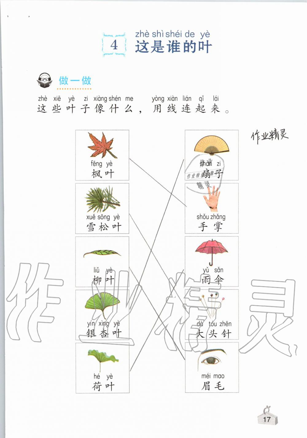 2019年知識與能力訓(xùn)練一年級科學(xué)上冊教科版 第17頁