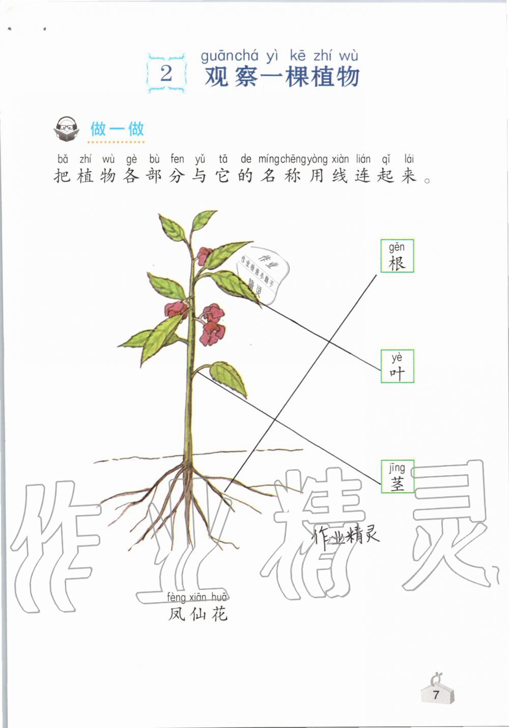 2019年知识与能力训练一年级科学上册教科版 第7页