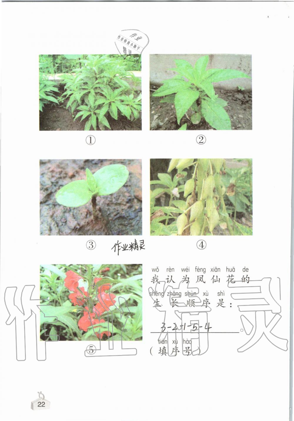 2019年知识与能力训练一年级科学上册教科版 第22页