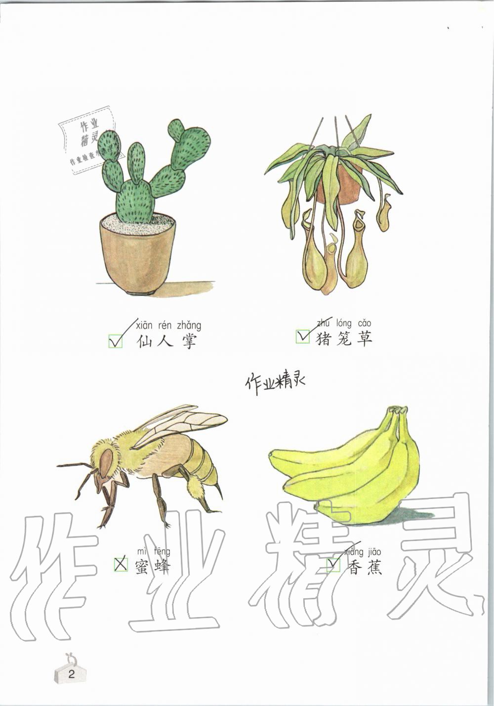 2019年知識與能力訓(xùn)練一年級科學(xué)上冊教科版 第2頁