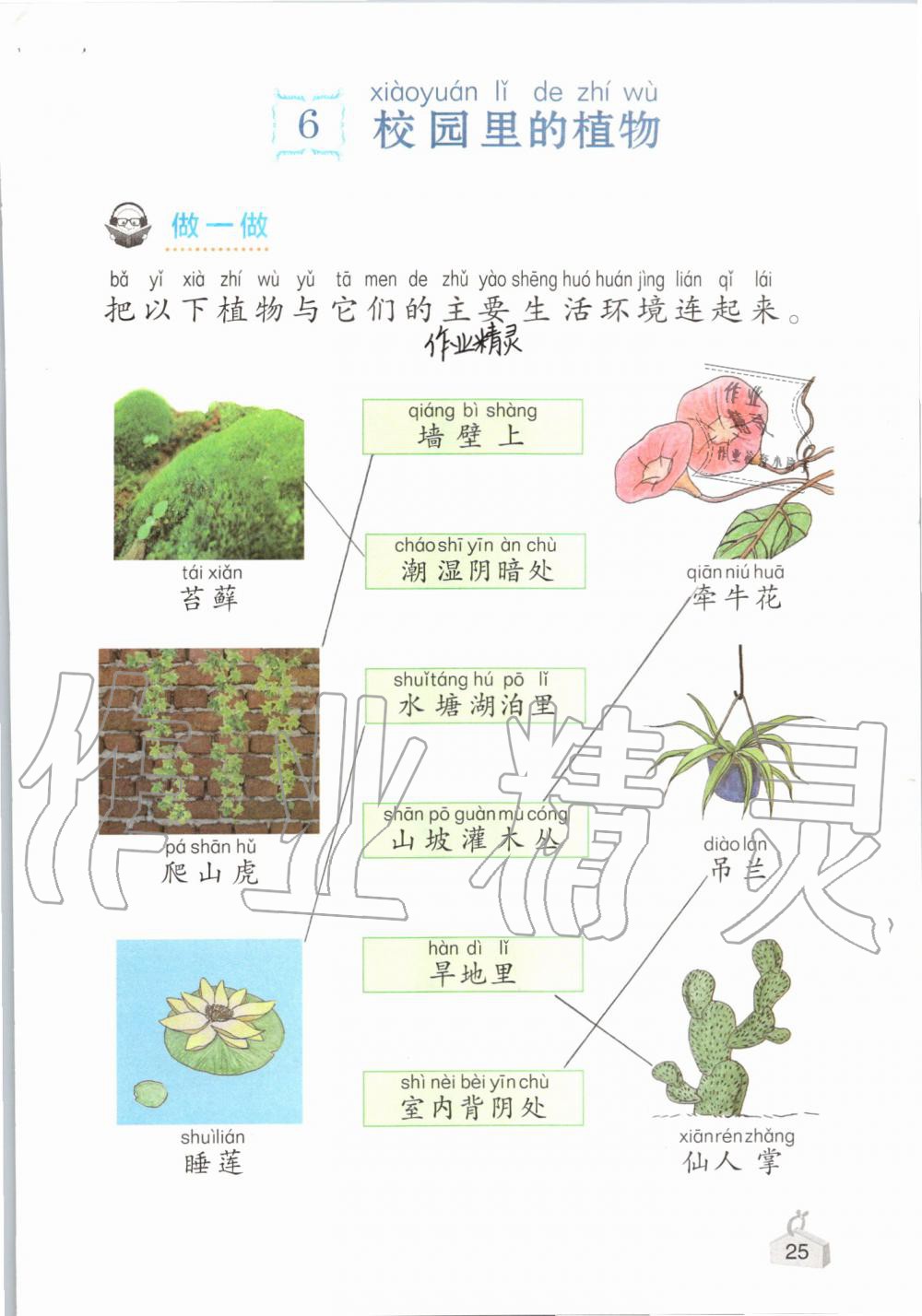 2019年知识与能力训练一年级科学上册教科版 第25页