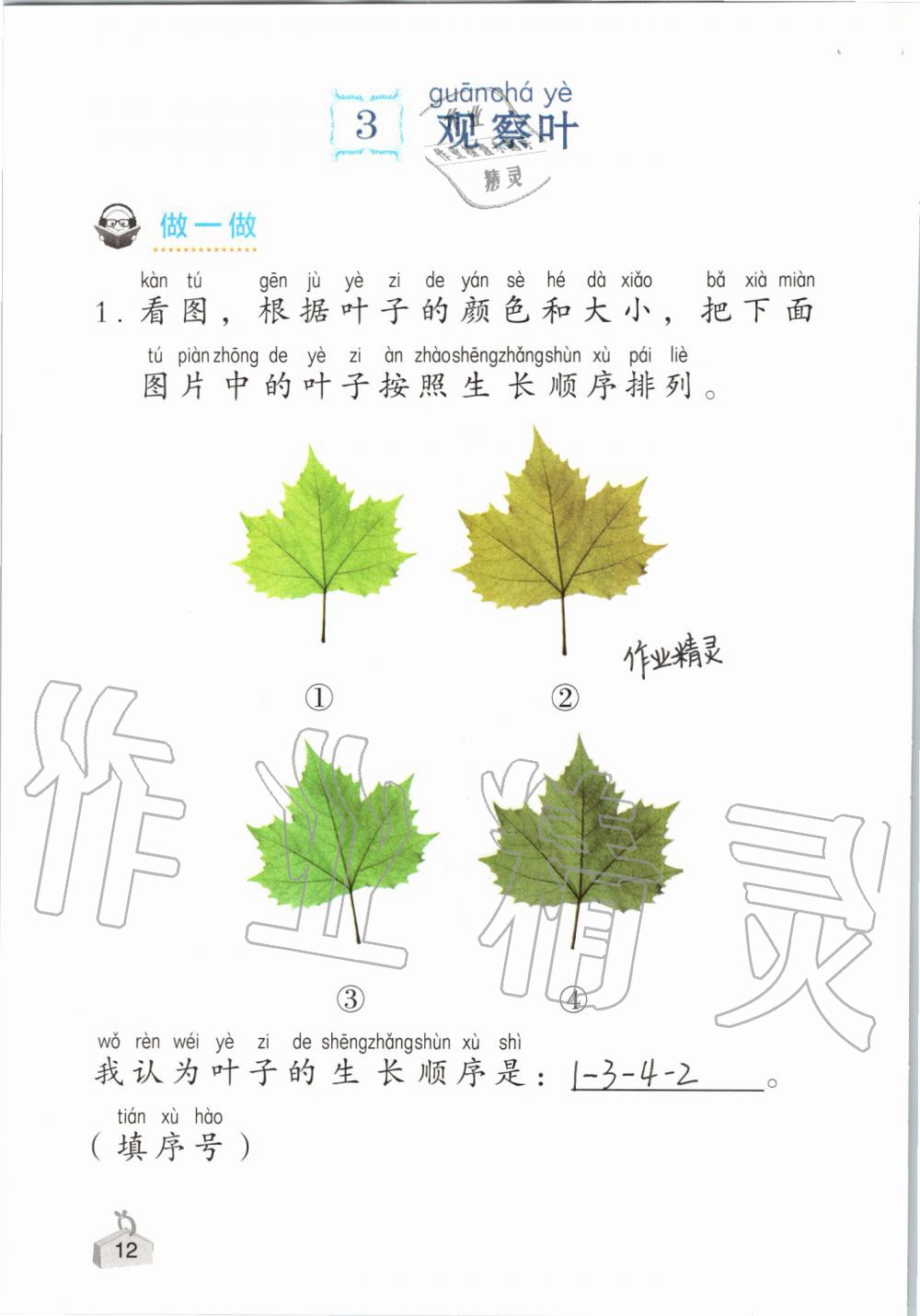 2019年知识与能力训练一年级科学上册教科版 第12页