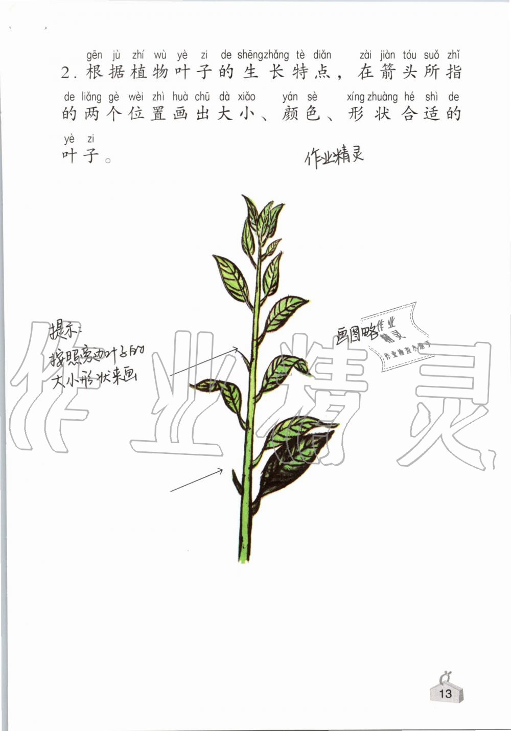 2019年知识与能力训练一年级科学上册教科版 第13页