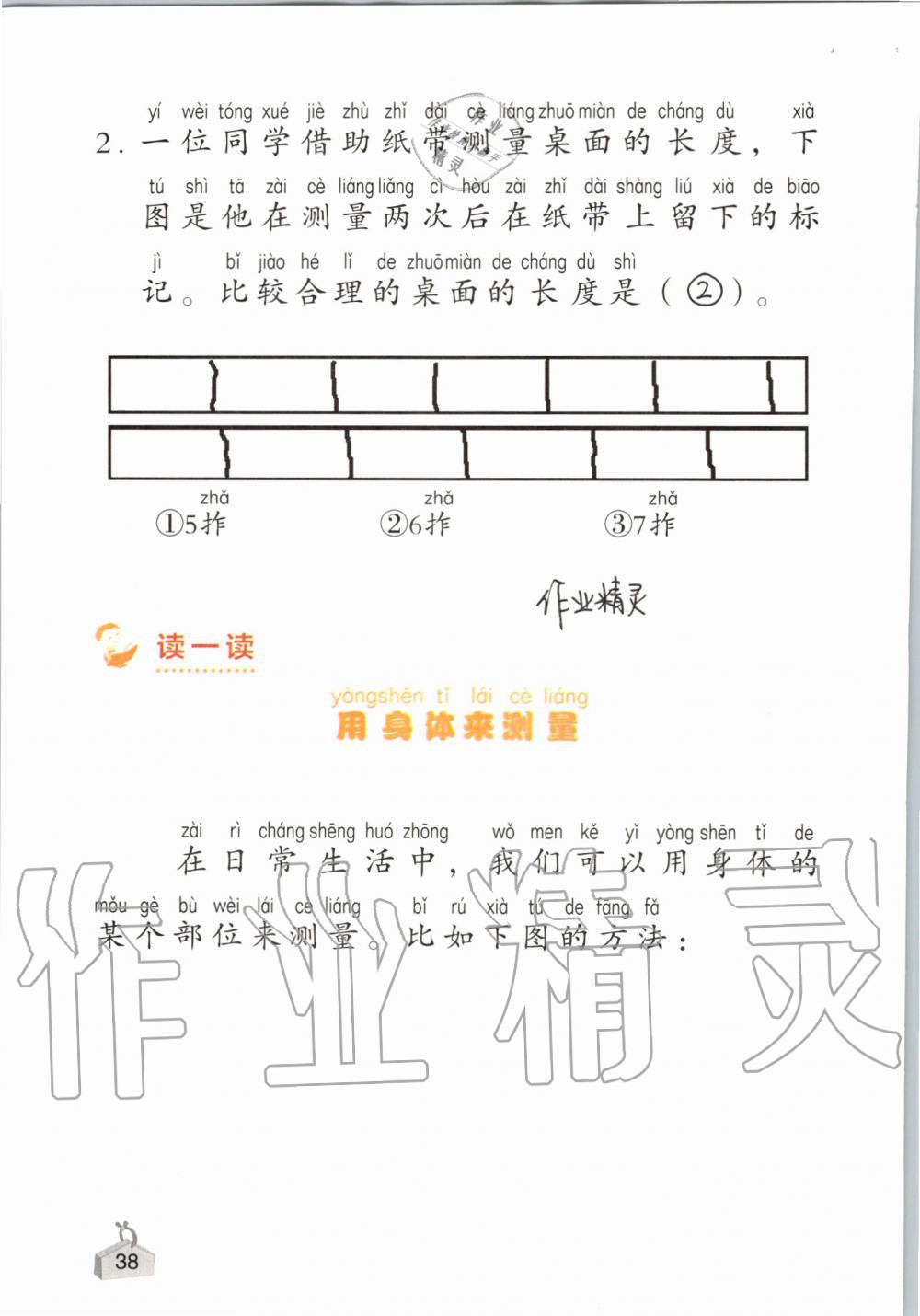 2019年知识与能力训练一年级科学上册教科版 第38页