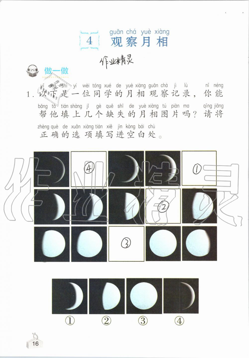 2019年知識與能力訓練二年級科學上冊教科版 第16頁