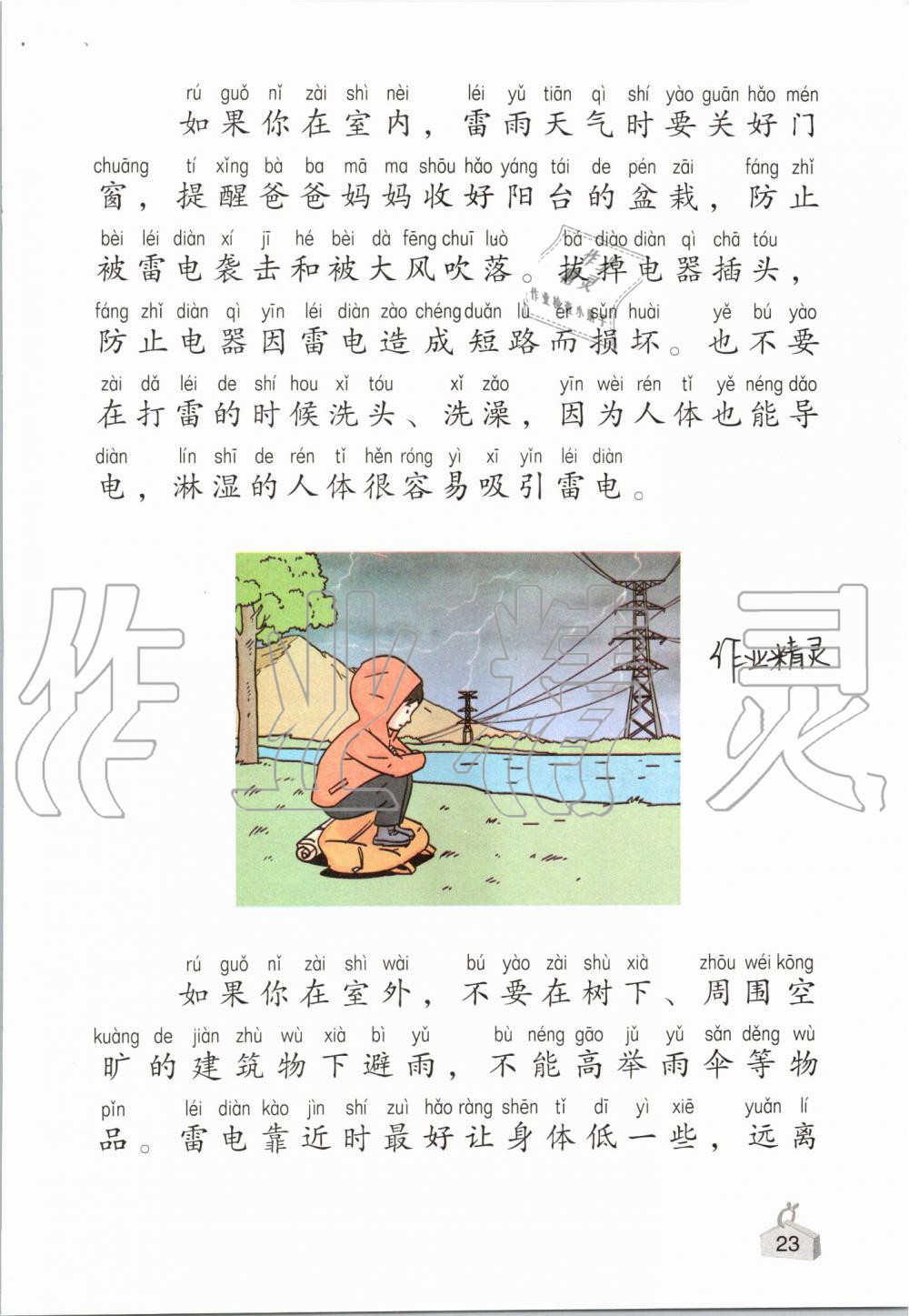 2019年知識(shí)與能力訓(xùn)練二年級(jí)科學(xué)上冊(cè)教科版 第23頁