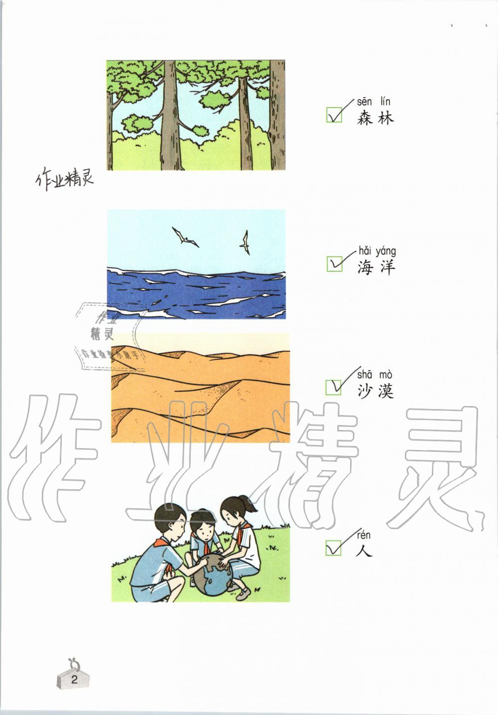 2019年知識與能力訓練二年級科學上冊教科版 第2頁