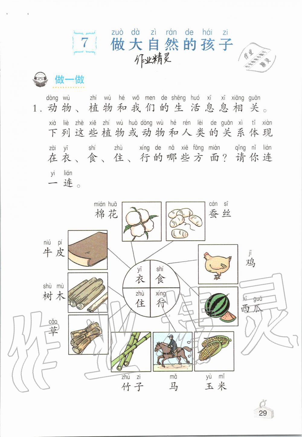 2019年知识与能力训练二年级科学上册教科版 第29页