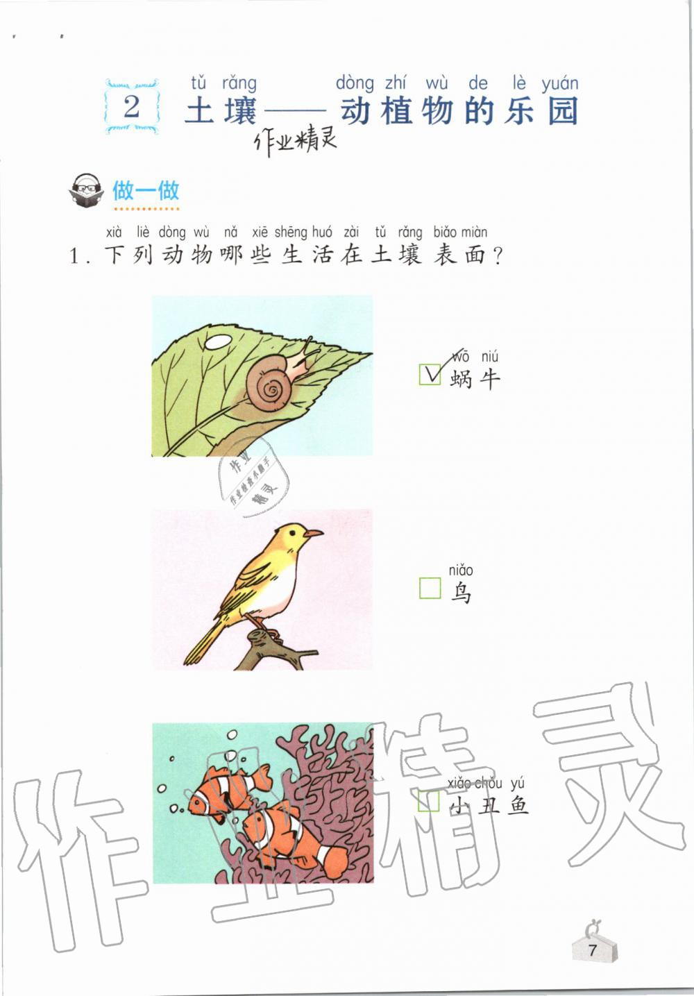 2019年知識(shí)與能力訓(xùn)練二年級(jí)科學(xué)上冊(cè)教科版 第7頁