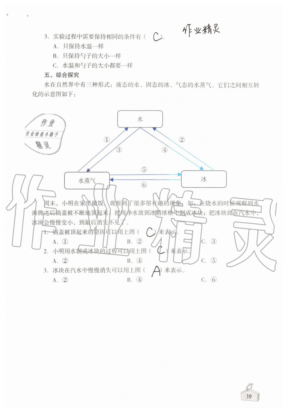 2019年知识与能力训练三年级科学上册教科版 第19页