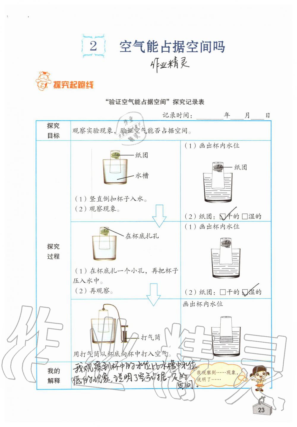 2019年知识与能力训练三年级科学上册教科版 第23页