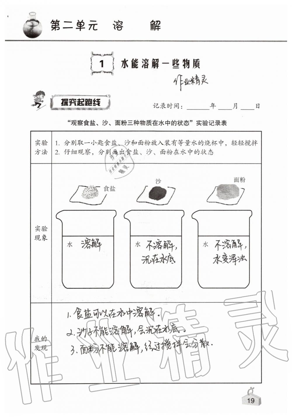 2019年知识与能力训练四年级科学上册教科版 第19页