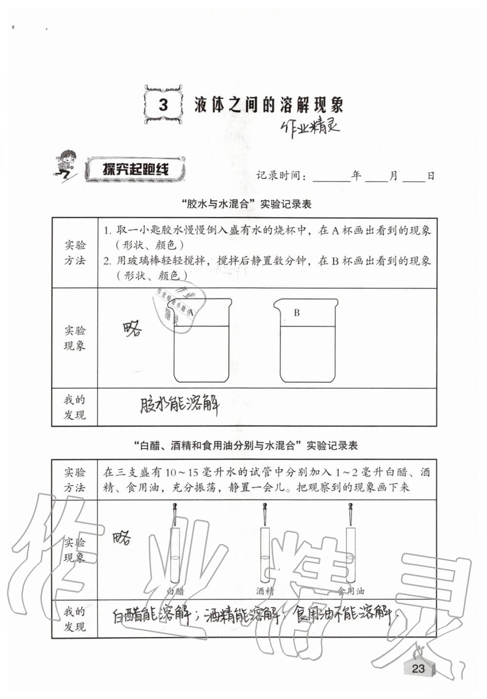 2019年知识与能力训练四年级科学上册教科版 第23页