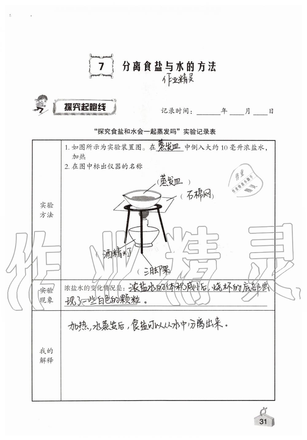 2019年知识与能力训练四年级科学上册教科版 第31页