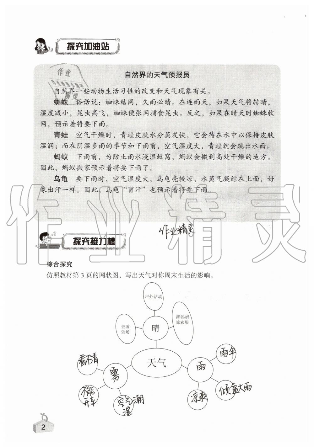 2019年知识与能力训练四年级科学上册教科版 第2页