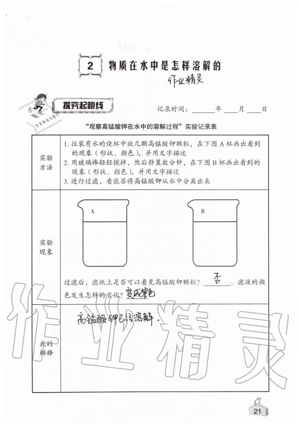 2019年知识与能力训练四年级科学上册教科版 第21页