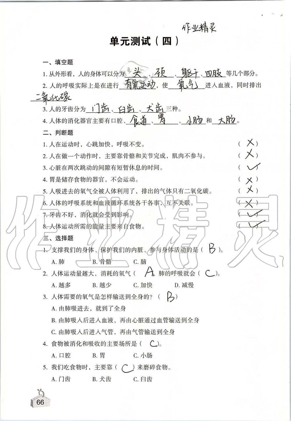 2019年知识与能力训练四年级科学上册教科版 第66页