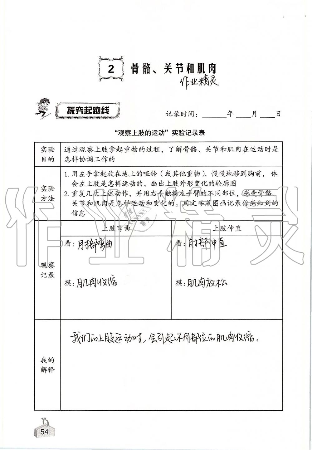 2019年知识与能力训练四年级科学上册教科版 第54页