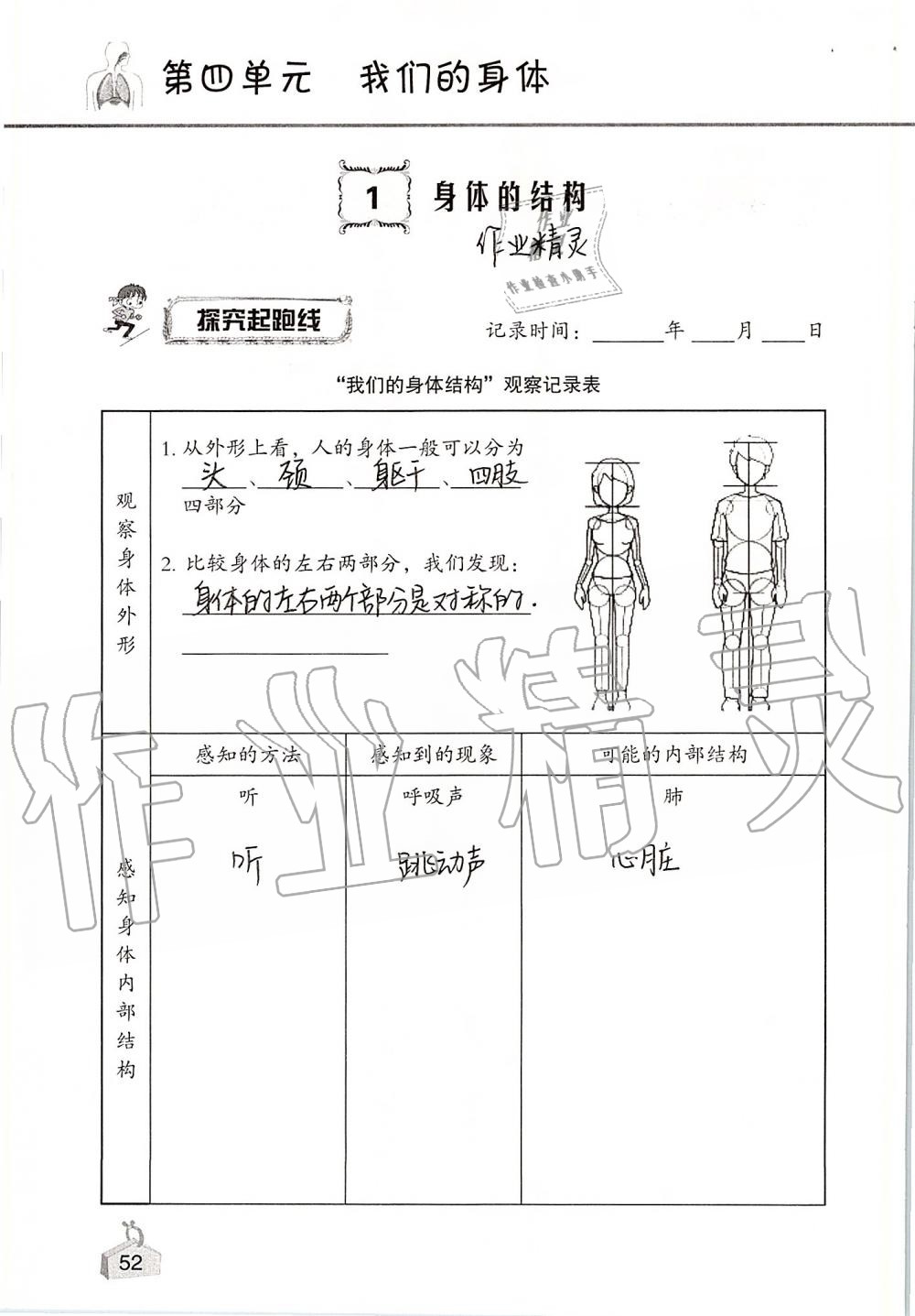 2019年知识与能力训练四年级科学上册教科版 第52页