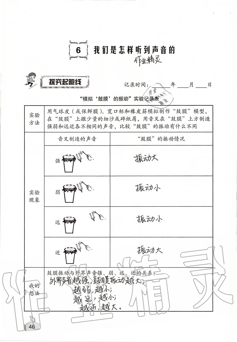 2019年知识与能力训练四年级科学上册教科版 第46页