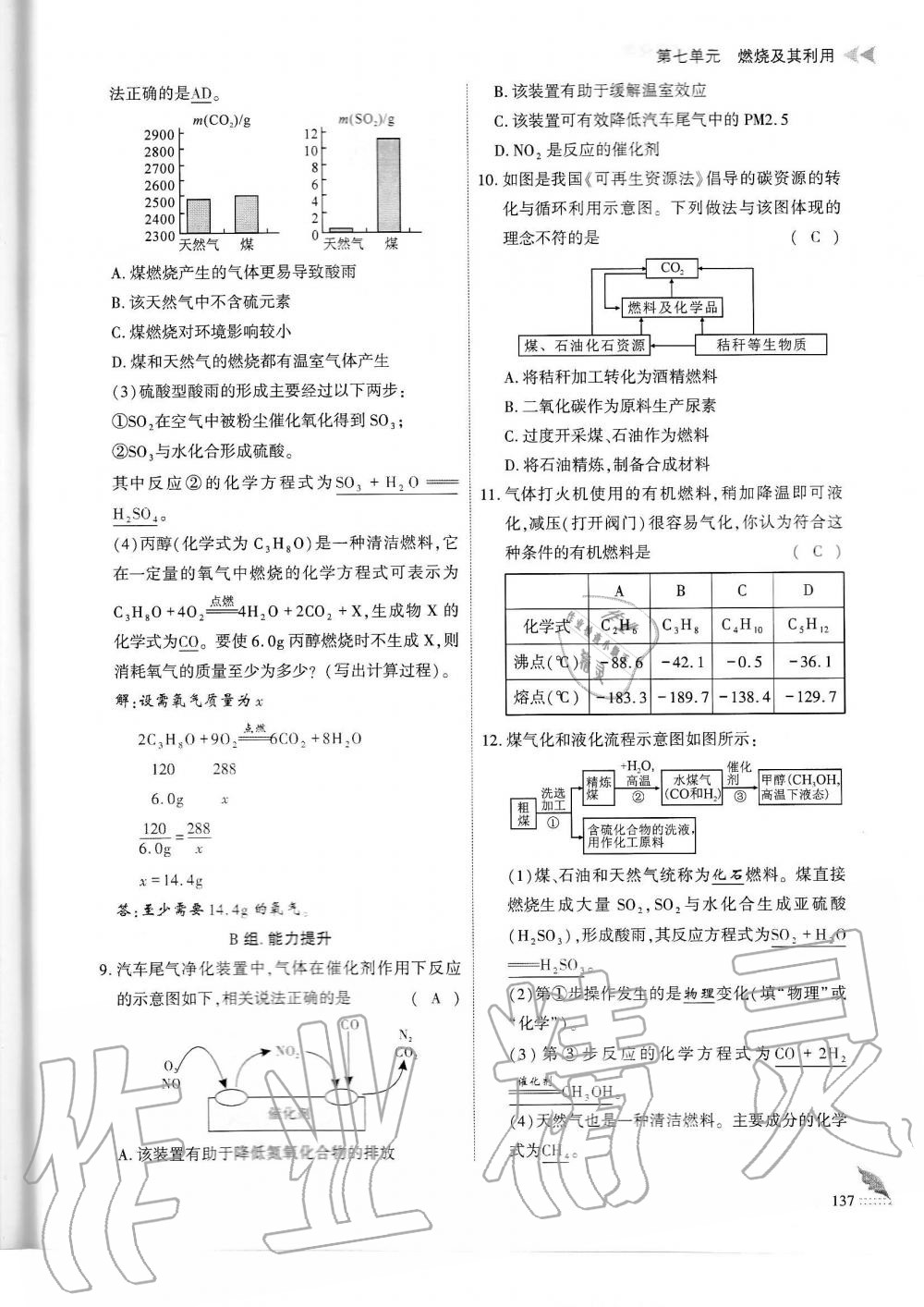 2019年蓉城优课堂给力A加九年级化学全一册人教版 第137页