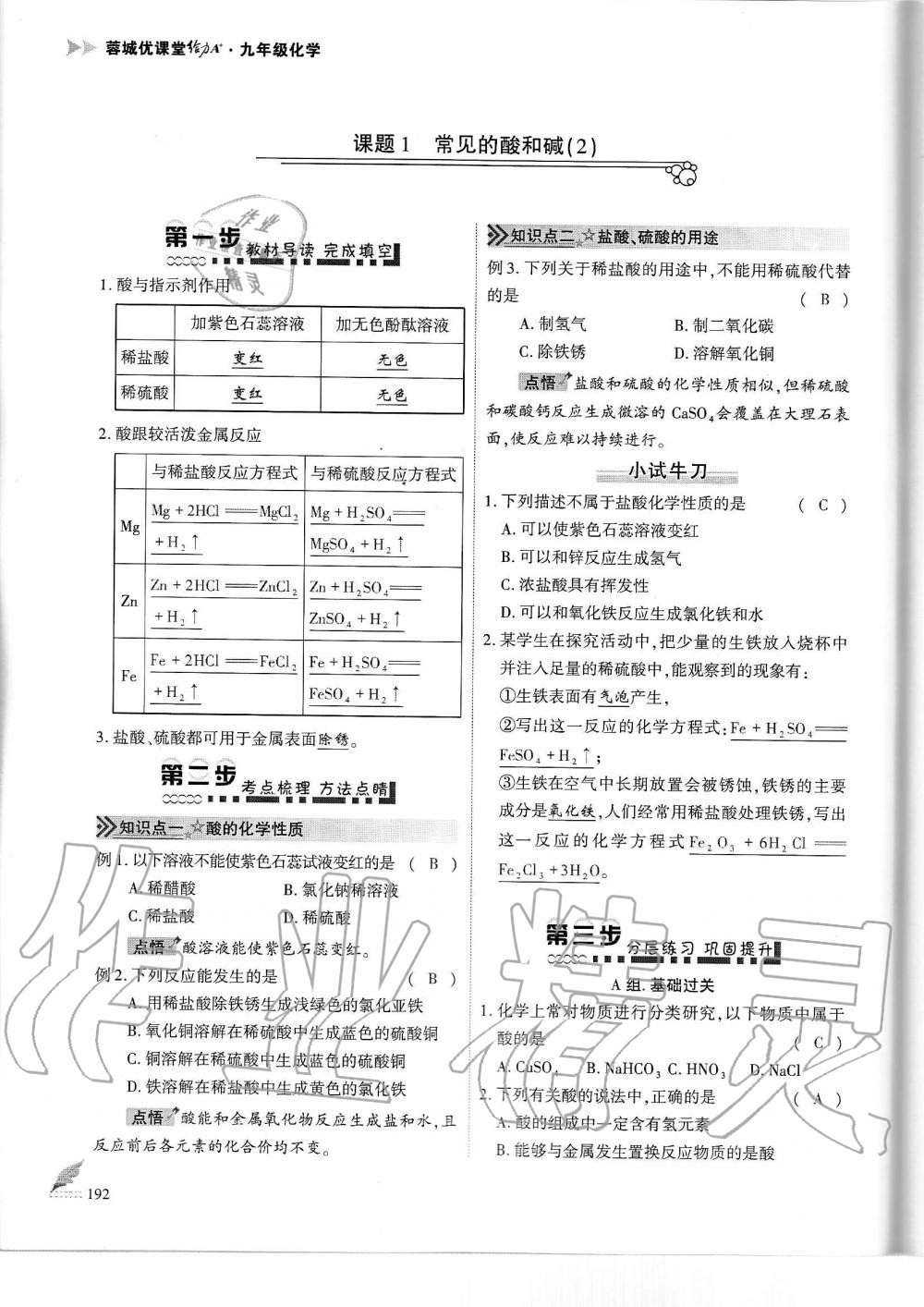 2019年蓉城优课堂给力A加九年级化学全一册人教版 第192页