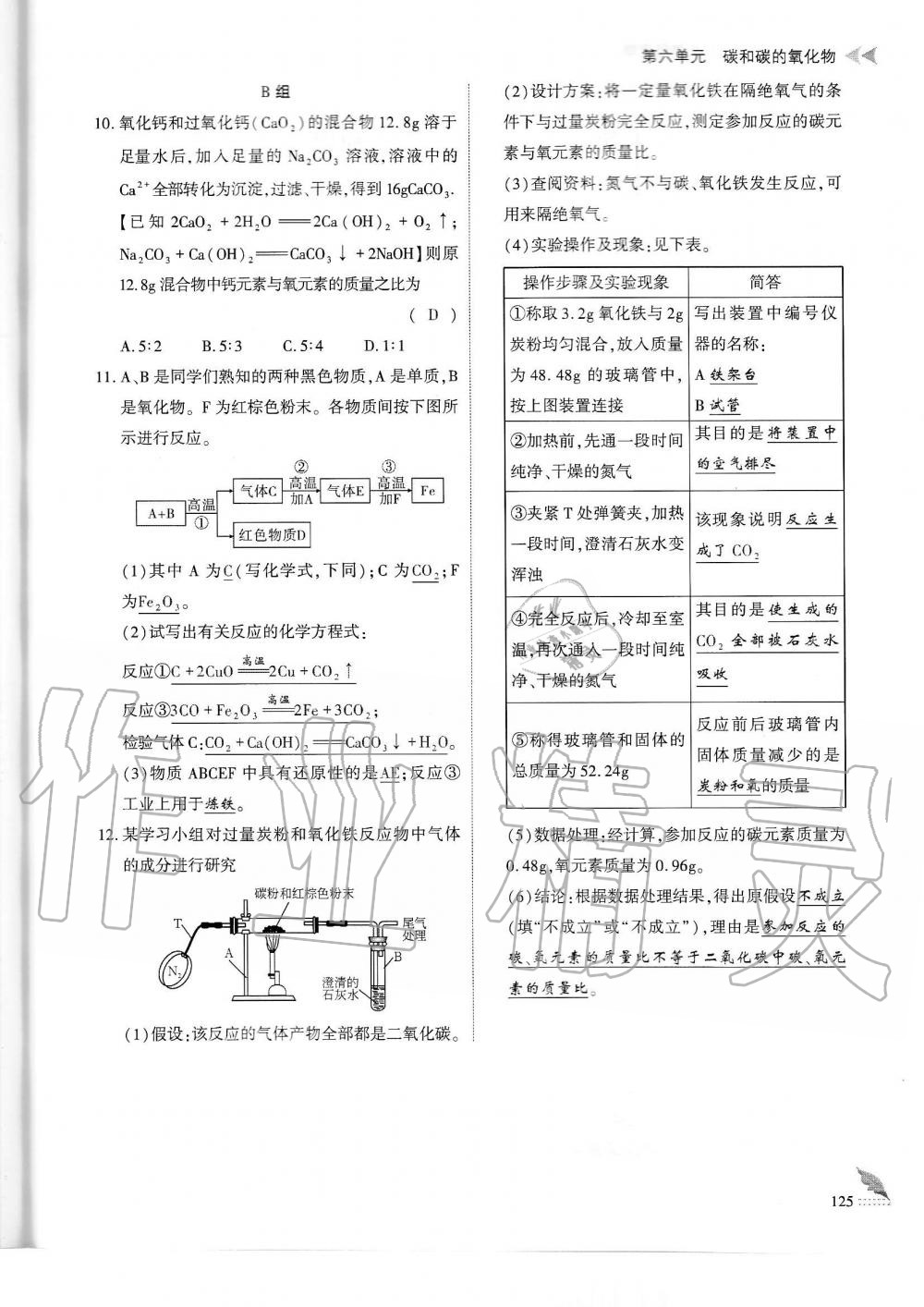 2019年蓉城优课堂给力A加九年级化学全一册人教版 第125页