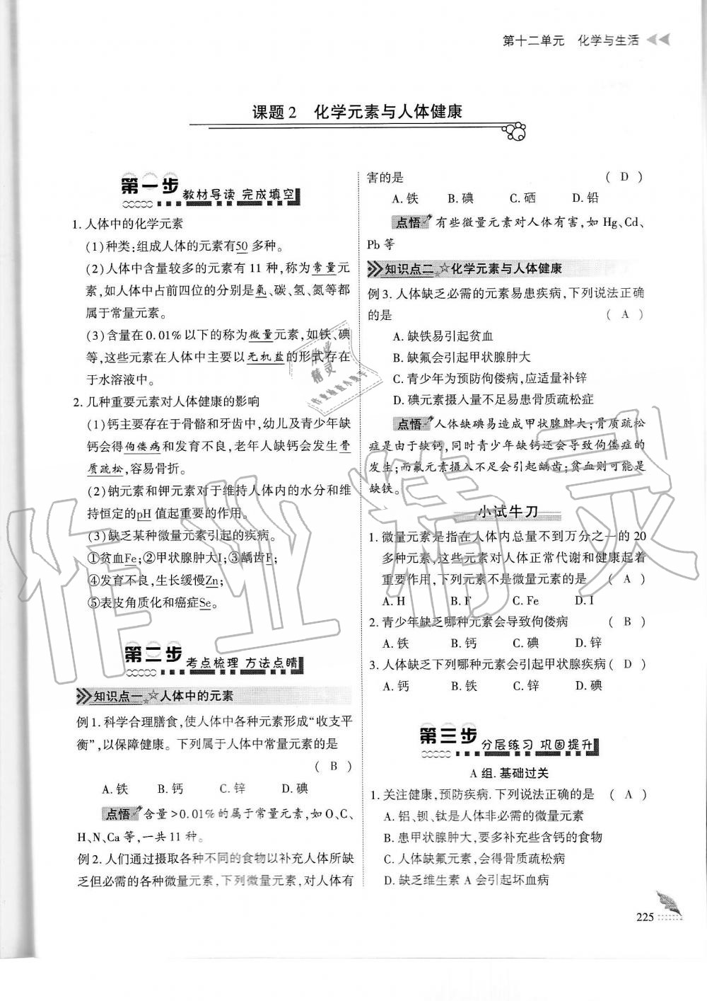 2019年蓉城优课堂给力A加九年级化学全一册人教版 第225页