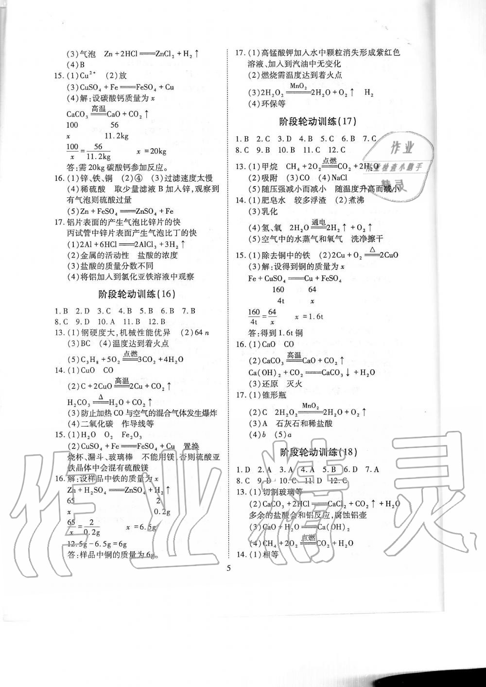 2019年蓉城优课堂给力A加九年级化学全一册人教版 第237页