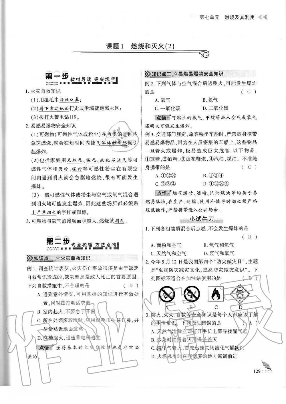 2019年蓉城优课堂给力A加九年级化学全一册人教版 第129页