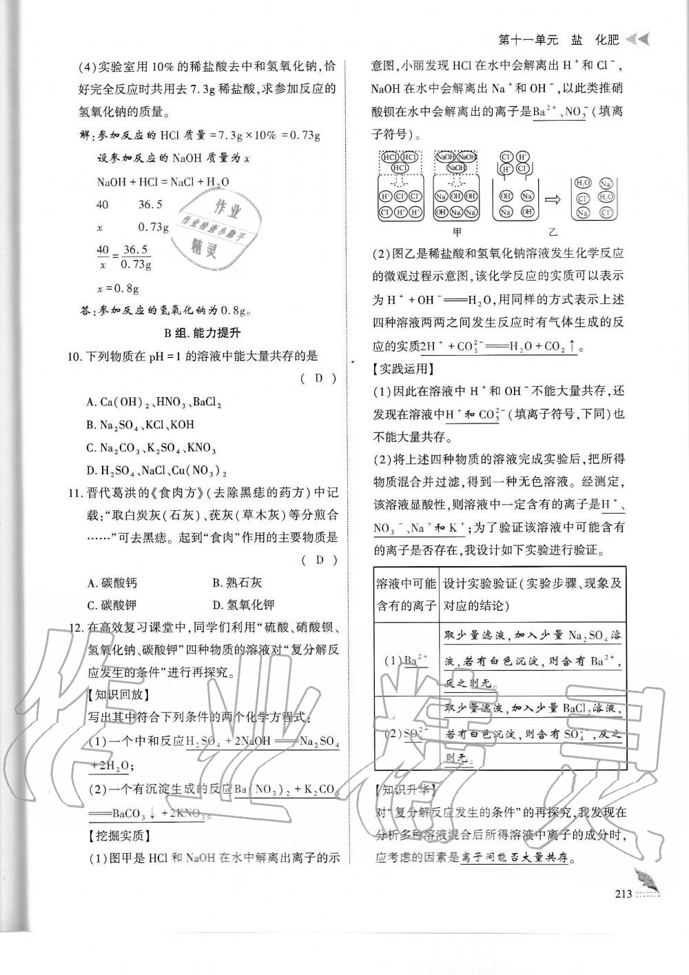 2019年蓉城优课堂给力A加九年级化学全一册人教版 第213页