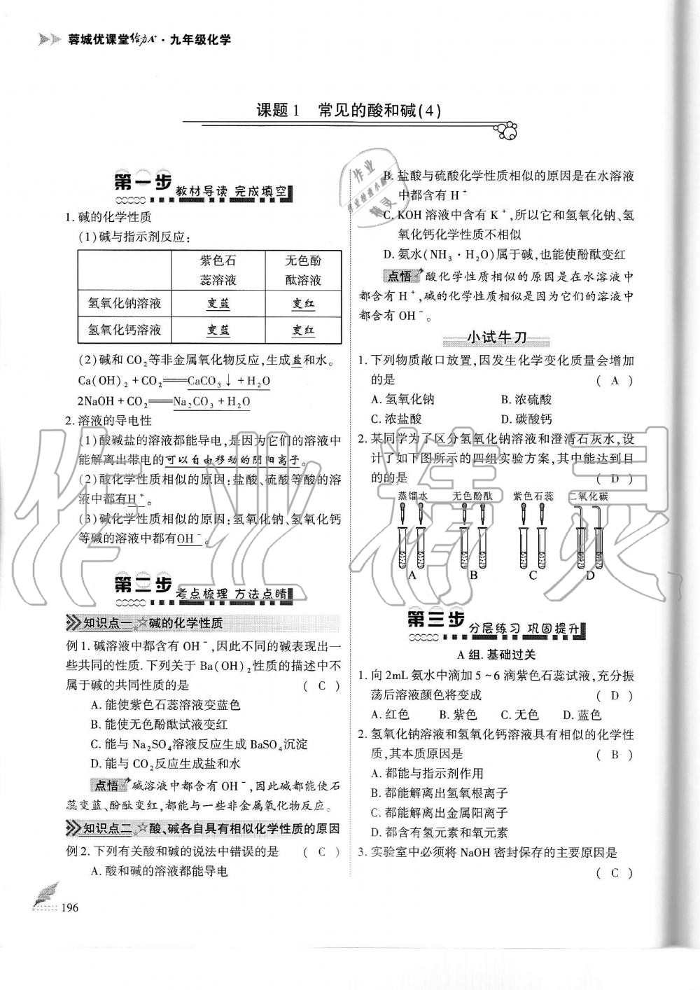 2019年蓉城优课堂给力A加九年级化学全一册人教版 第196页