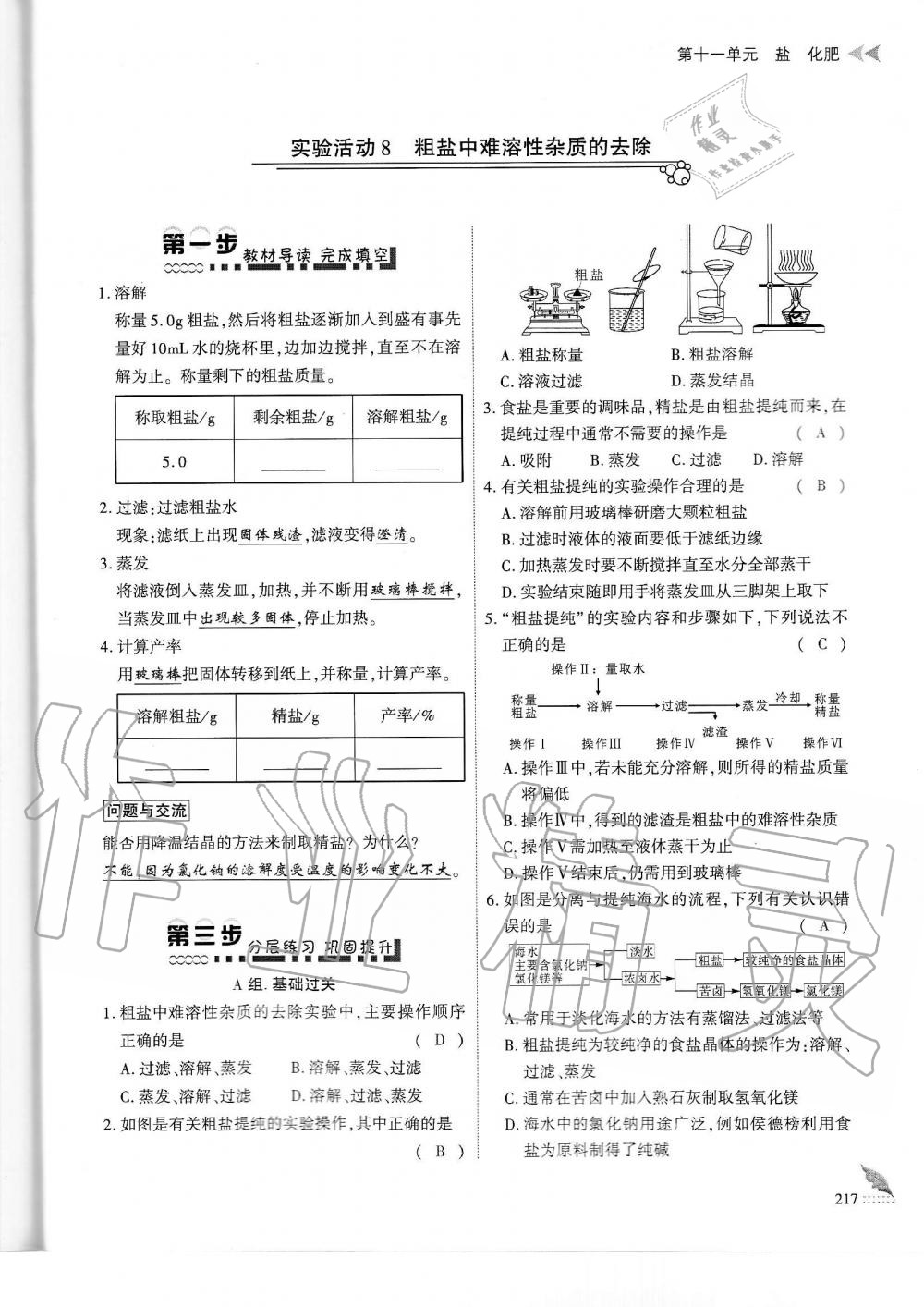 2019年蓉城优课堂给力A加九年级化学全一册人教版 第217页