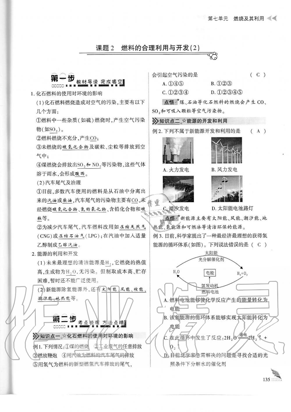 2019年蓉城优课堂给力A加九年级化学全一册人教版 第135页