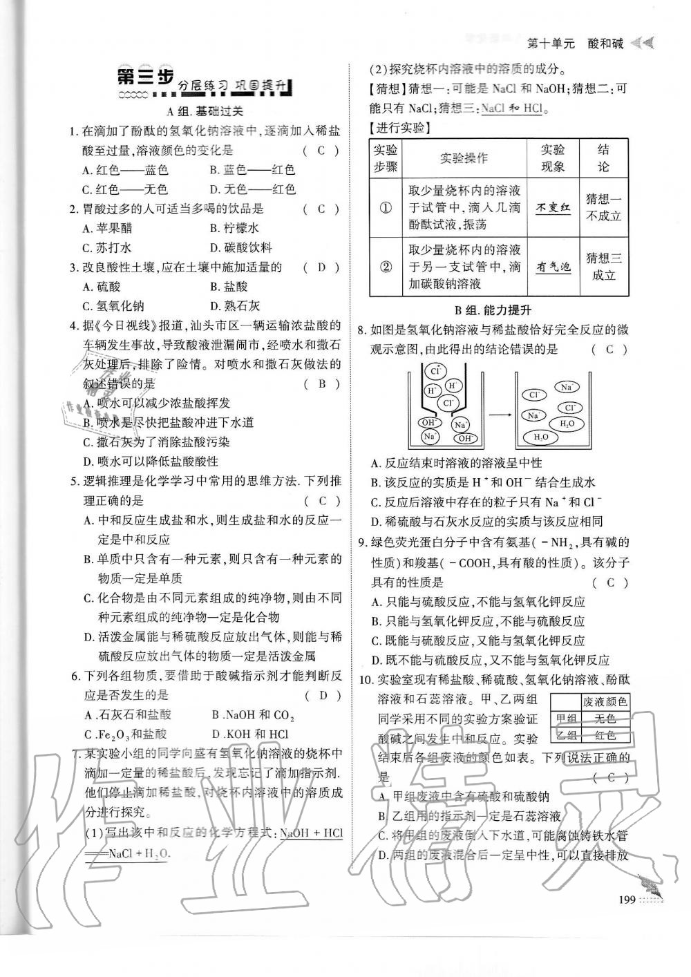 2019年蓉城优课堂给力A加九年级化学全一册人教版 第199页