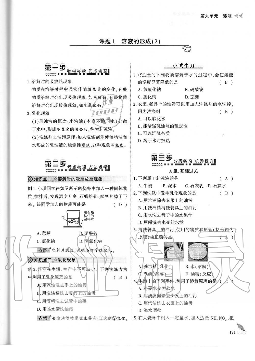 2019年蓉城优课堂给力A加九年级化学全一册人教版 第171页