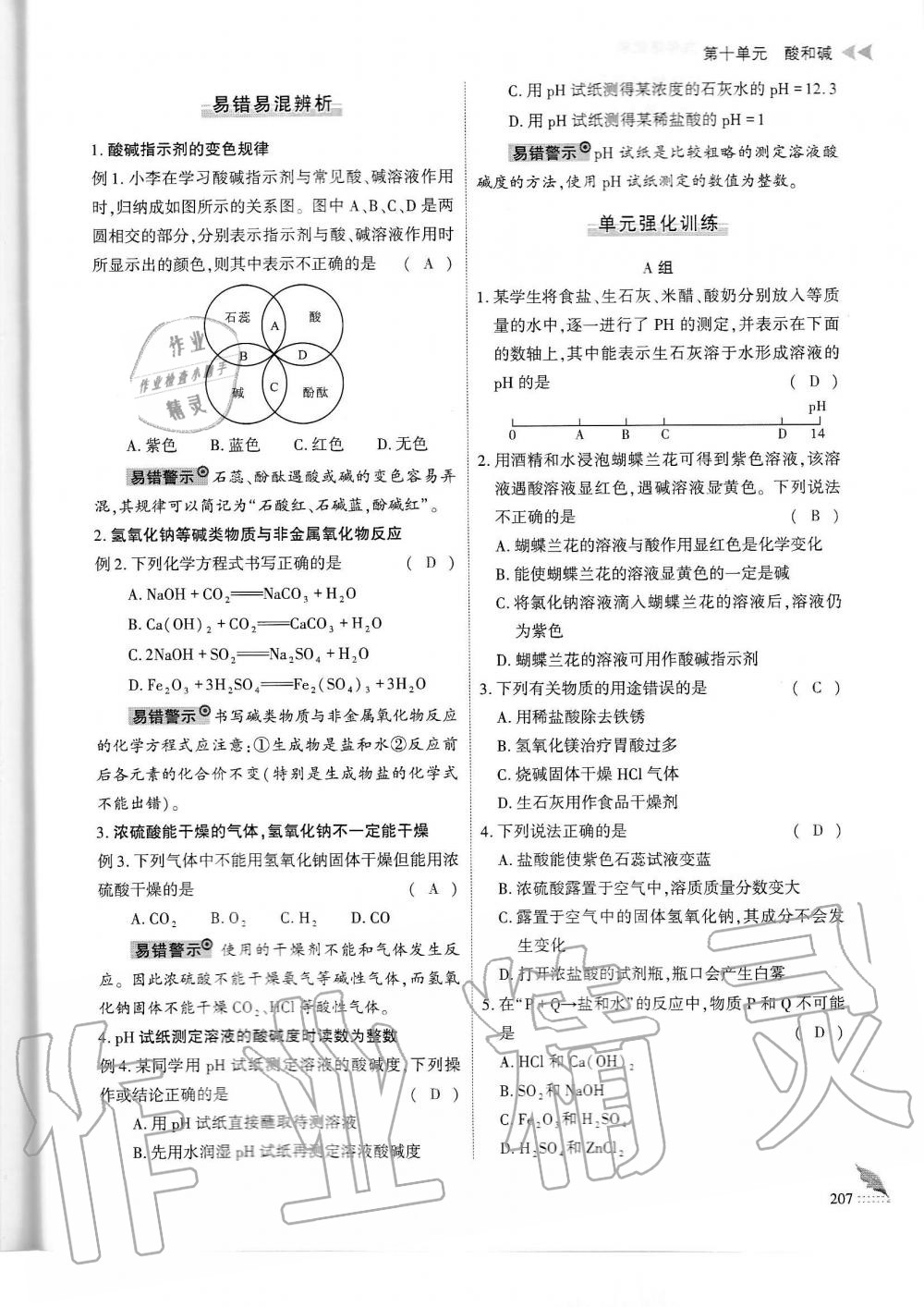 2019年蓉城优课堂给力A加九年级化学全一册人教版 第207页