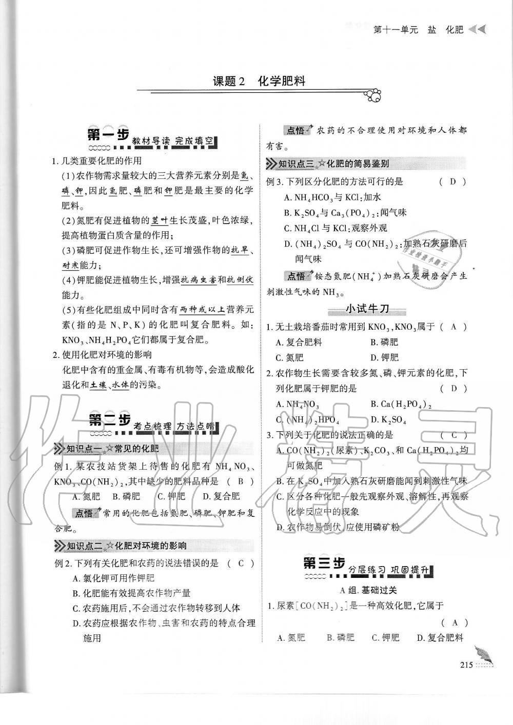 2019年蓉城优课堂给力A加九年级化学全一册人教版 第215页