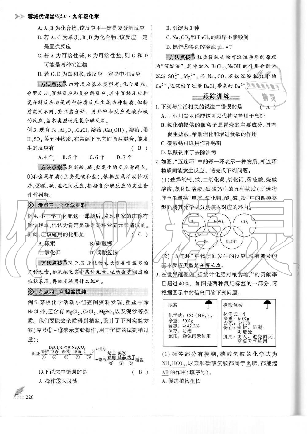 2019年蓉城優(yōu)課堂給力A加九年級化學(xué)全一冊人教版 第220頁