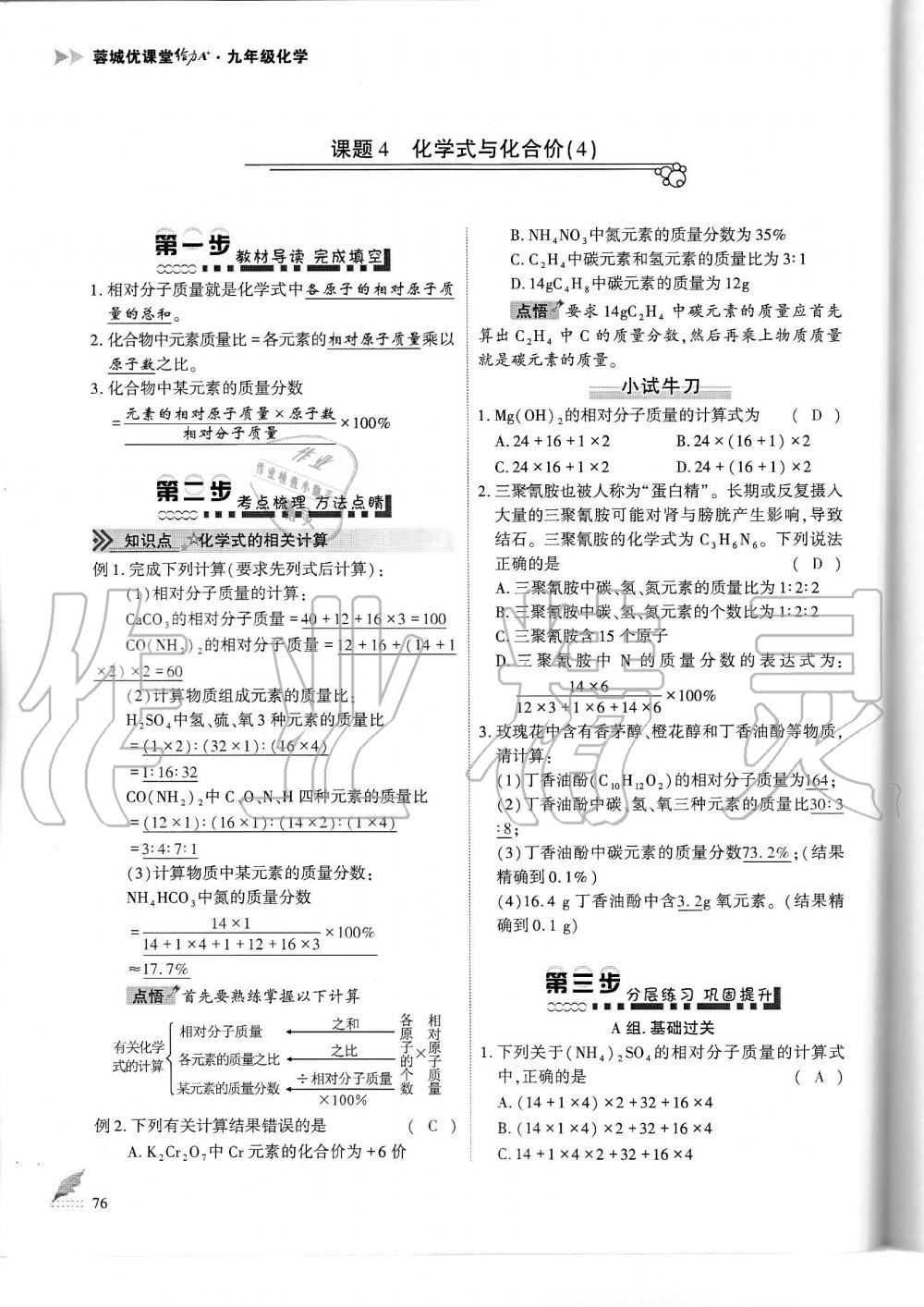 2019年蓉城优课堂给力A加九年级化学全一册人教版 第76页