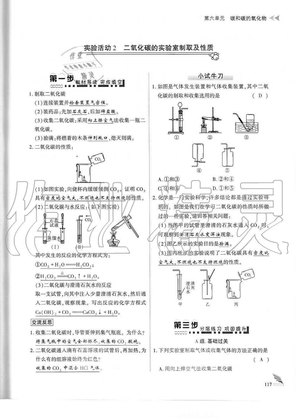 2019年蓉城优课堂给力A加九年级化学全一册人教版 第117页