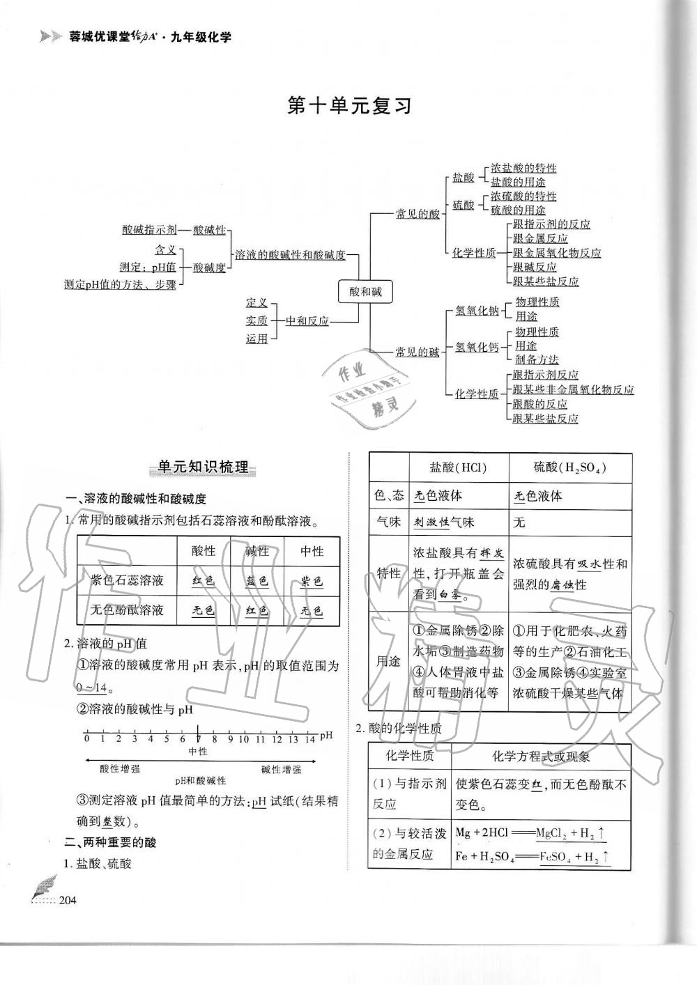 2019年蓉城优课堂给力A加九年级化学全一册人教版 第204页