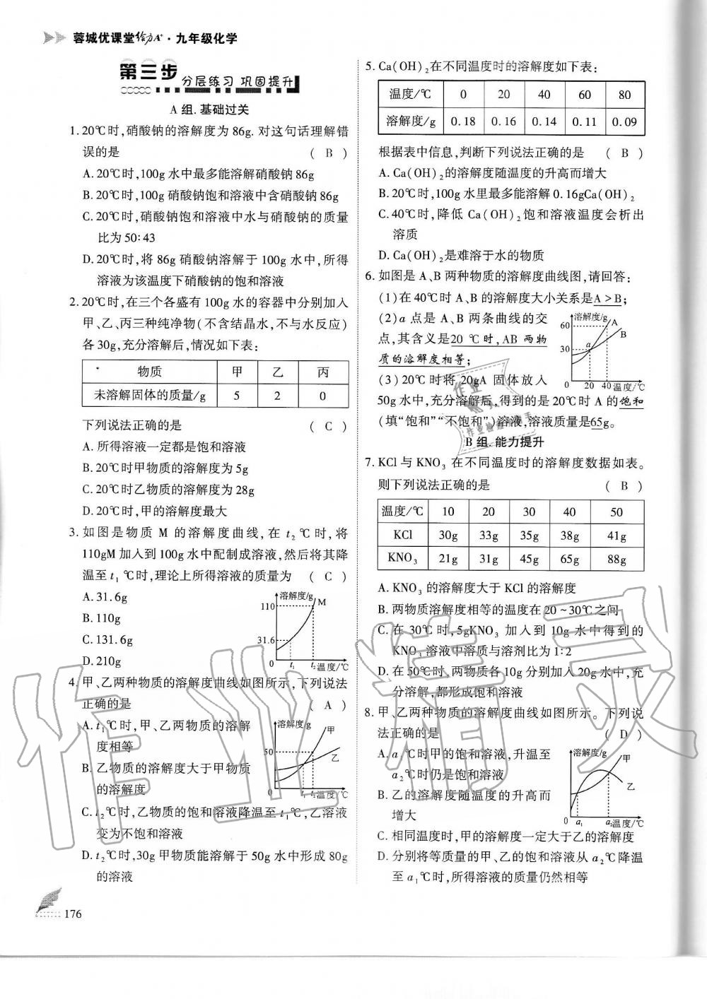 2019年蓉城优课堂给力A加九年级化学全一册人教版 第176页