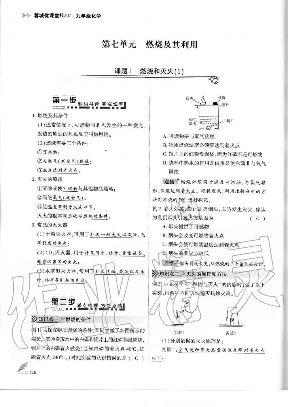 2019年蓉城優(yōu)課堂給力A加九年級化學全一冊人教版 第126頁